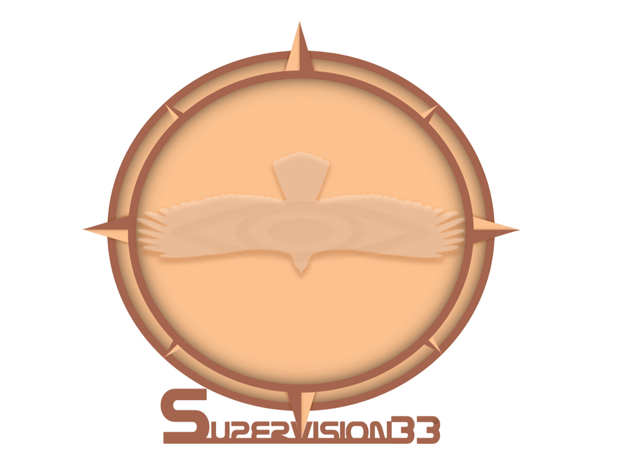 SUPERVISION33